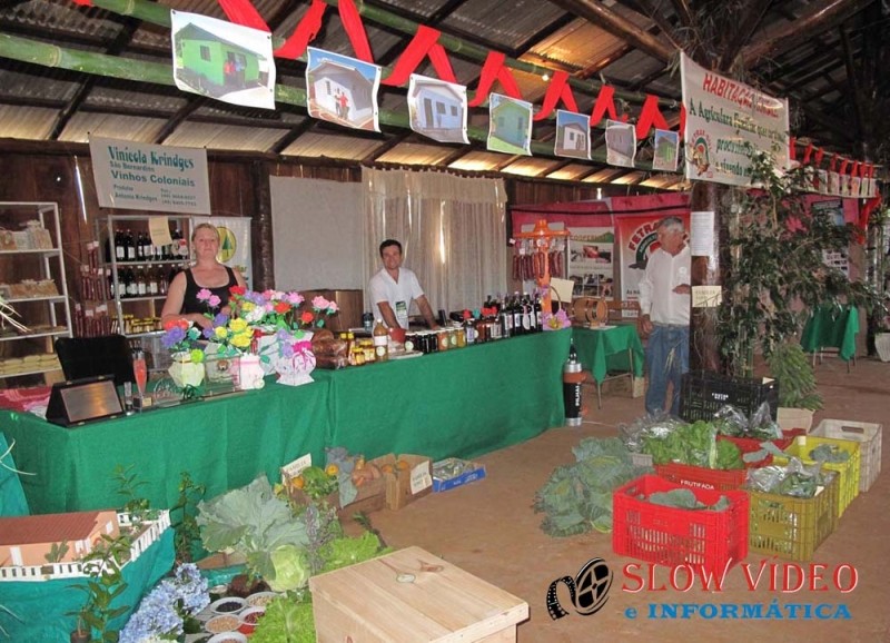Organicos ganham espaço na alimentação. Foto: www.campoere_1.com