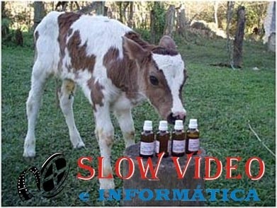 Homeopatia na agricultura em geral.