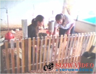  Alunas pesquisadoras Janaína Strada e Angélica Mezzaroba durante a realização do projeto de pesquisa, no setor de avicultura do CEDUP Campo Erê.