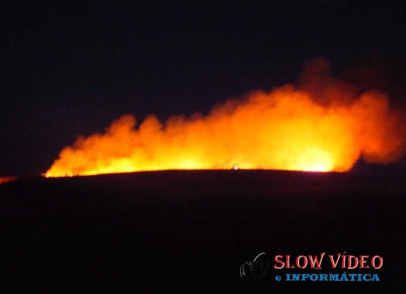 Incêndios estão causando prejuizos na região. Foto: www.campoere_1.com