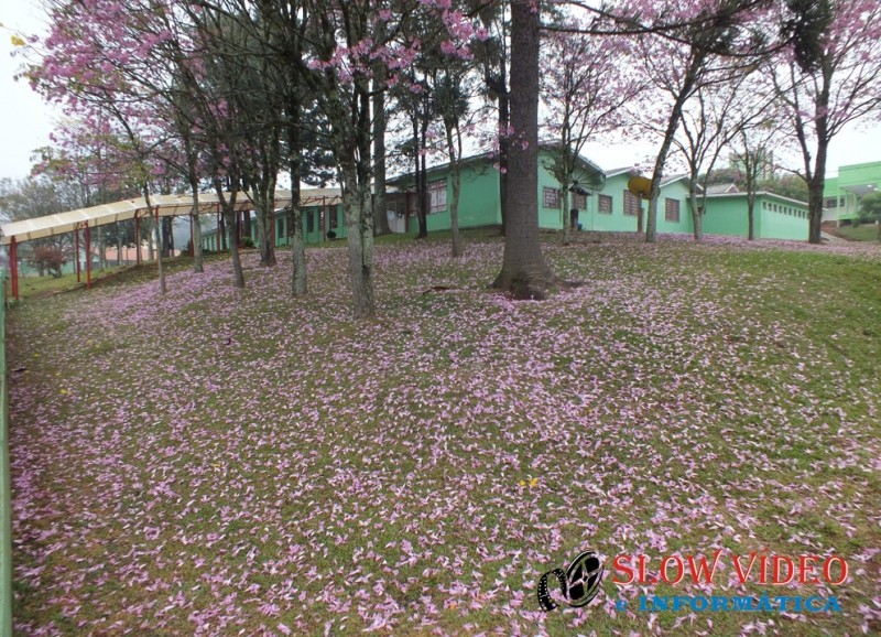 Escola homenagem a professores e funcionarios. Foto: www.campoere_1.com