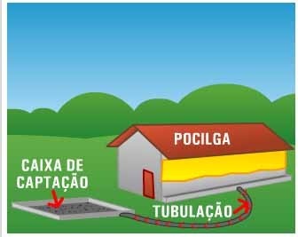 Imagem ilustrativa