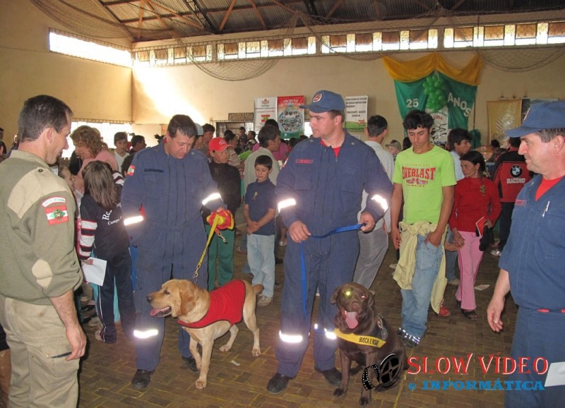 Cães dos Bombeiros já estiveram em Campo Erê Foto: www.campoere_1.com