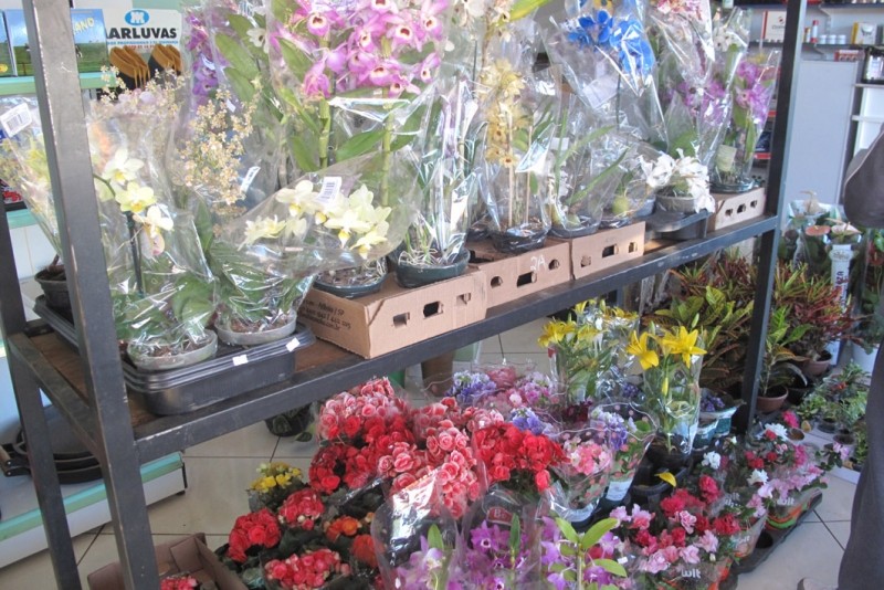 Feira na Agropec (1)