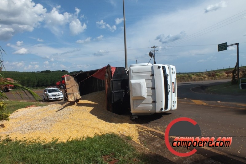 Foto www.campoere_1.com (1)