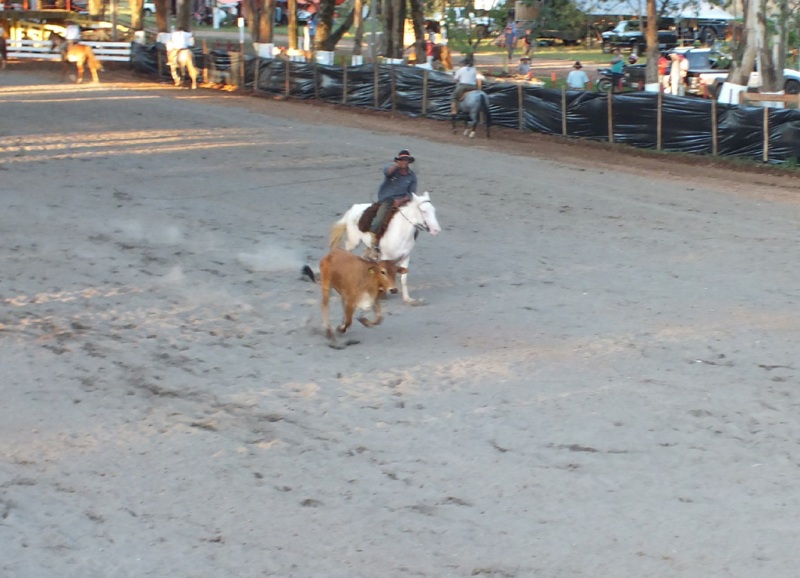 Foto: Jandir Sabedot/www.campoere_1.com