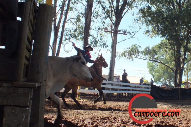 Foto: Jandir Sabedot/www.campoere_1.com
