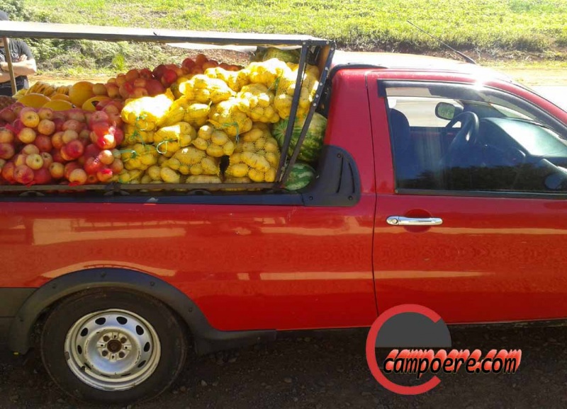 Picape com carga irregular. Foto: www.campoere_1.com