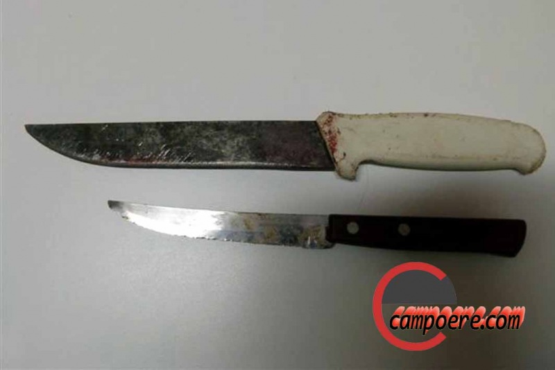 Facas foram apreendidas com o menor. Foto: www.campeore.com