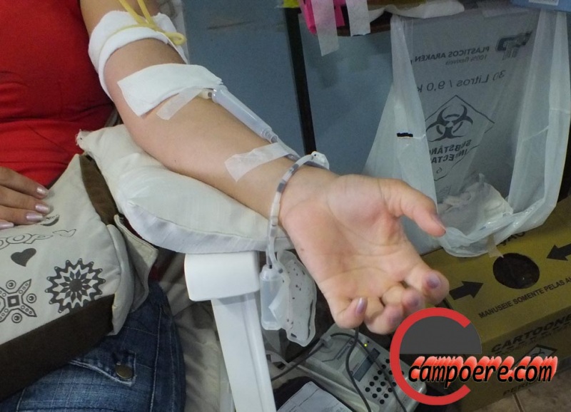 Foto: www.campoere_1.com
