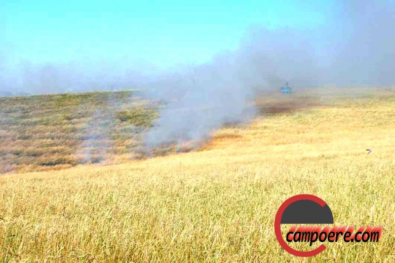 Foto: Jandir Sabedot/www.campoere_1.com