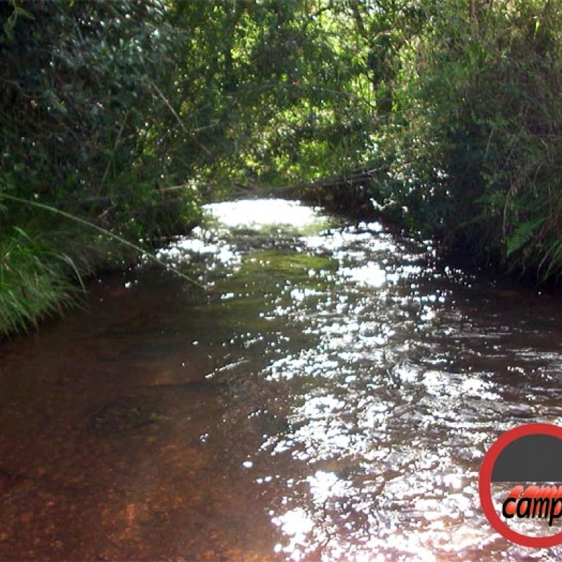 Foto: www.campoere_1.com