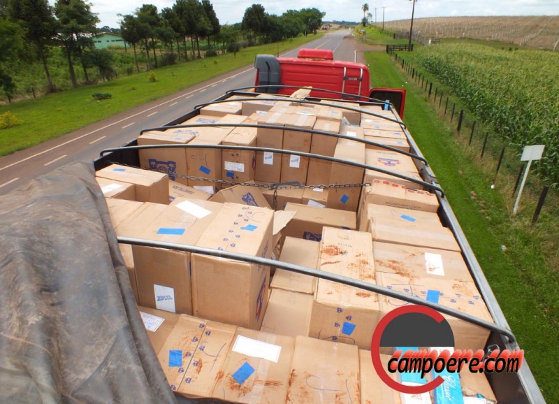 Foto: jandir Sabedot/www.campoere_1.com