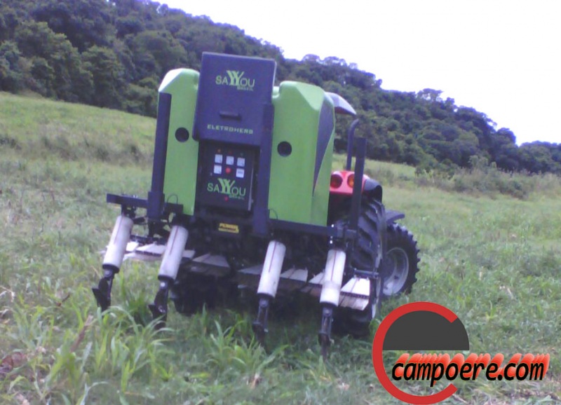 Foto: www.campoere_1.com