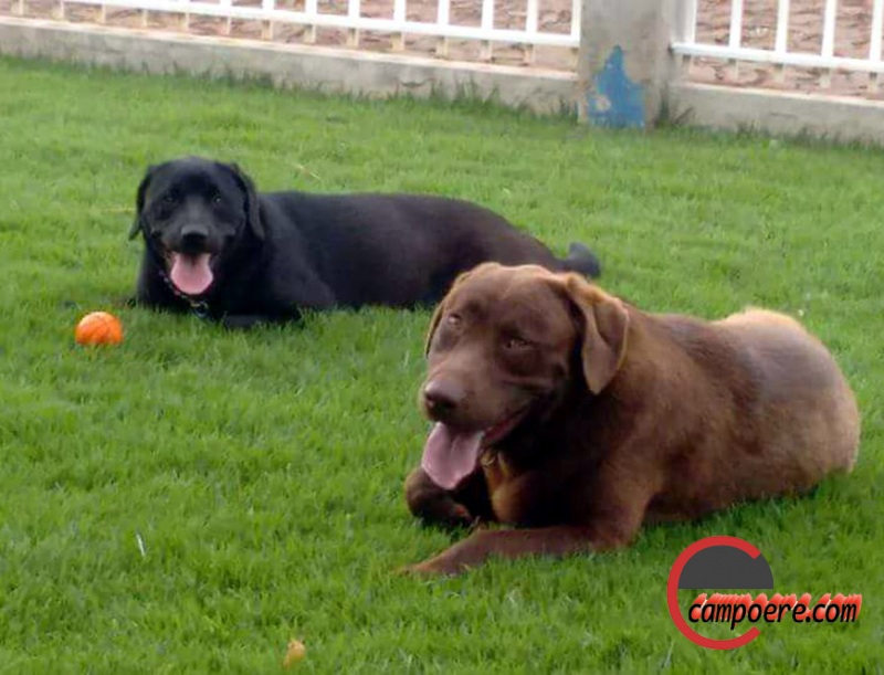 Foto: divulgação familia