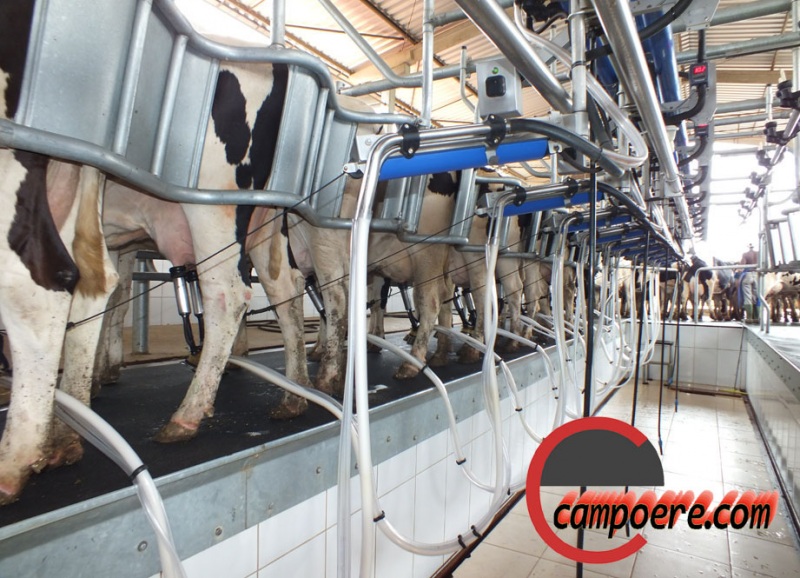 Foto: www.campoere_1.com