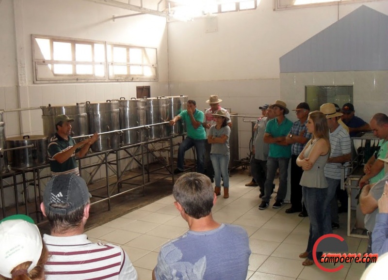Foto: divulgção