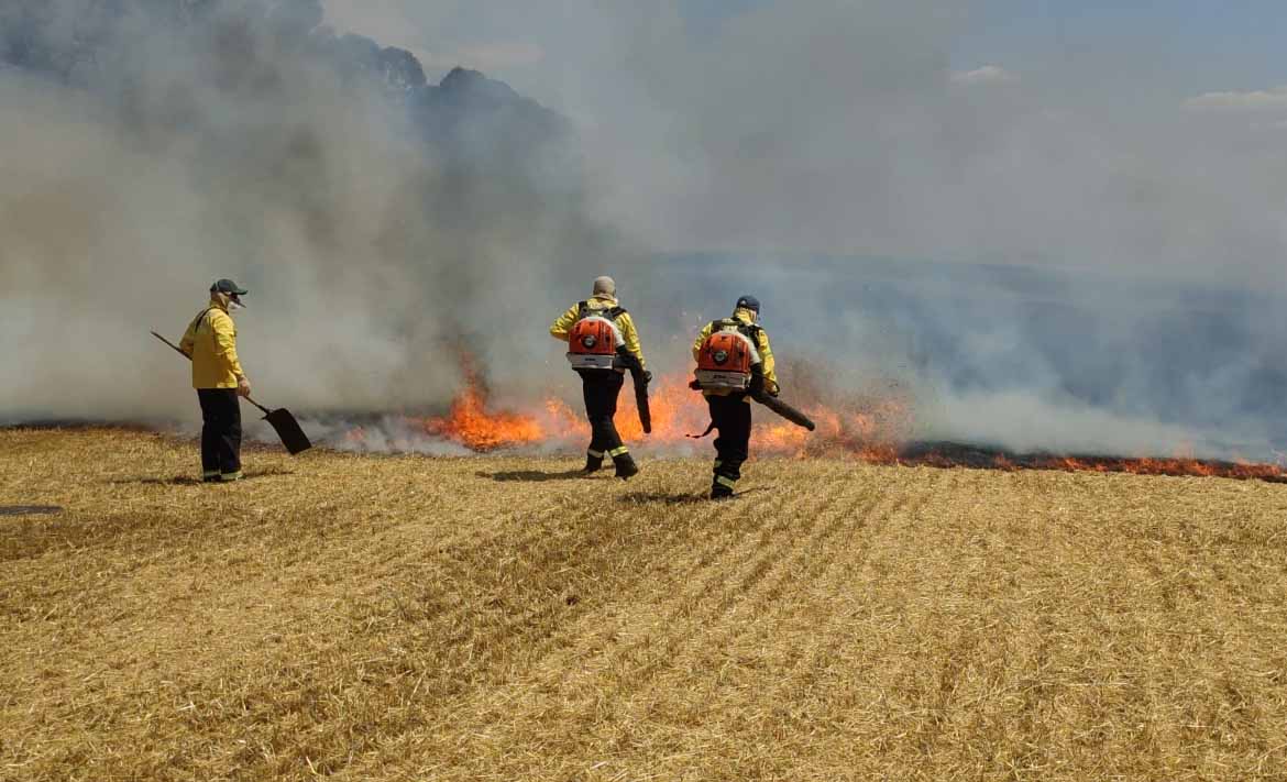 Foto: Jandir Sabedot/campoere_1.com