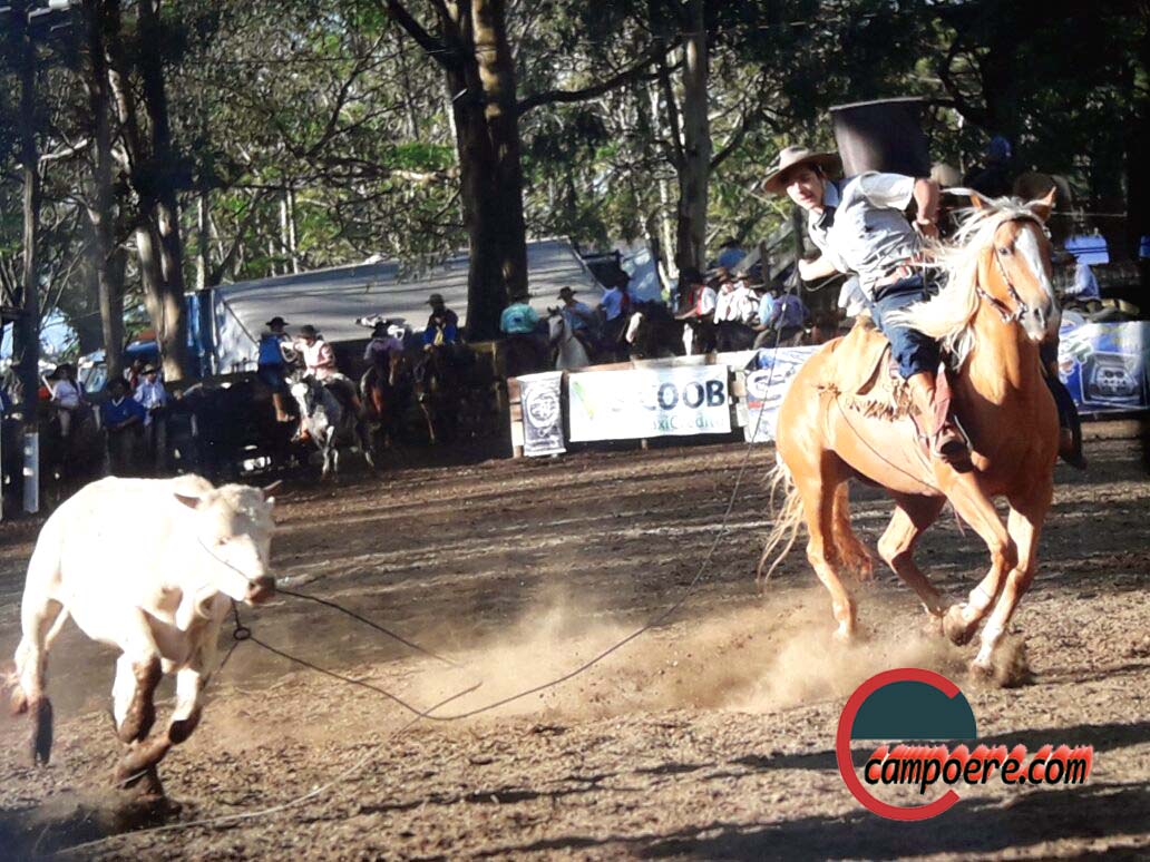 Foto: www.campoere_1.com