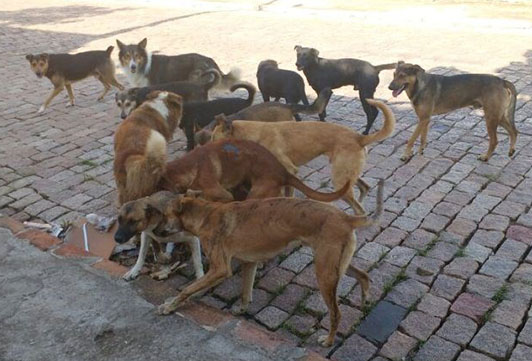 Foto: campoere_1.com