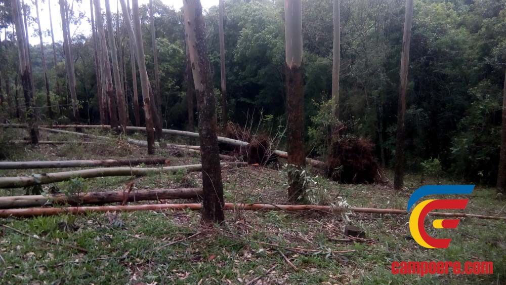Foto: www.campoere_1.com