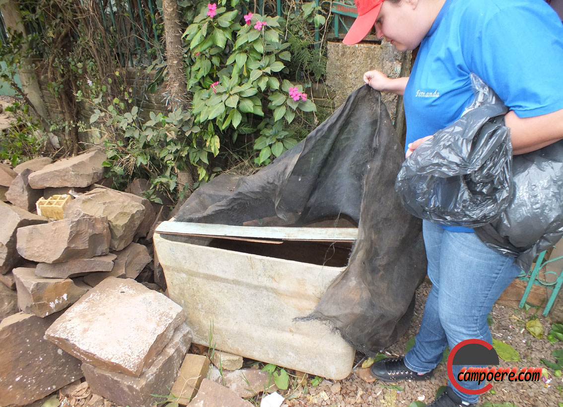 Foto: Jandir Sabedot/www.campoere_1.com