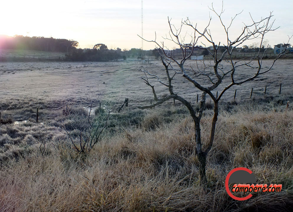 Foto: arquivo www.campoere_1.com