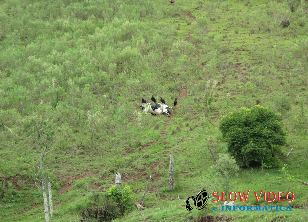 Foto: arquivo www.campoere_1.com