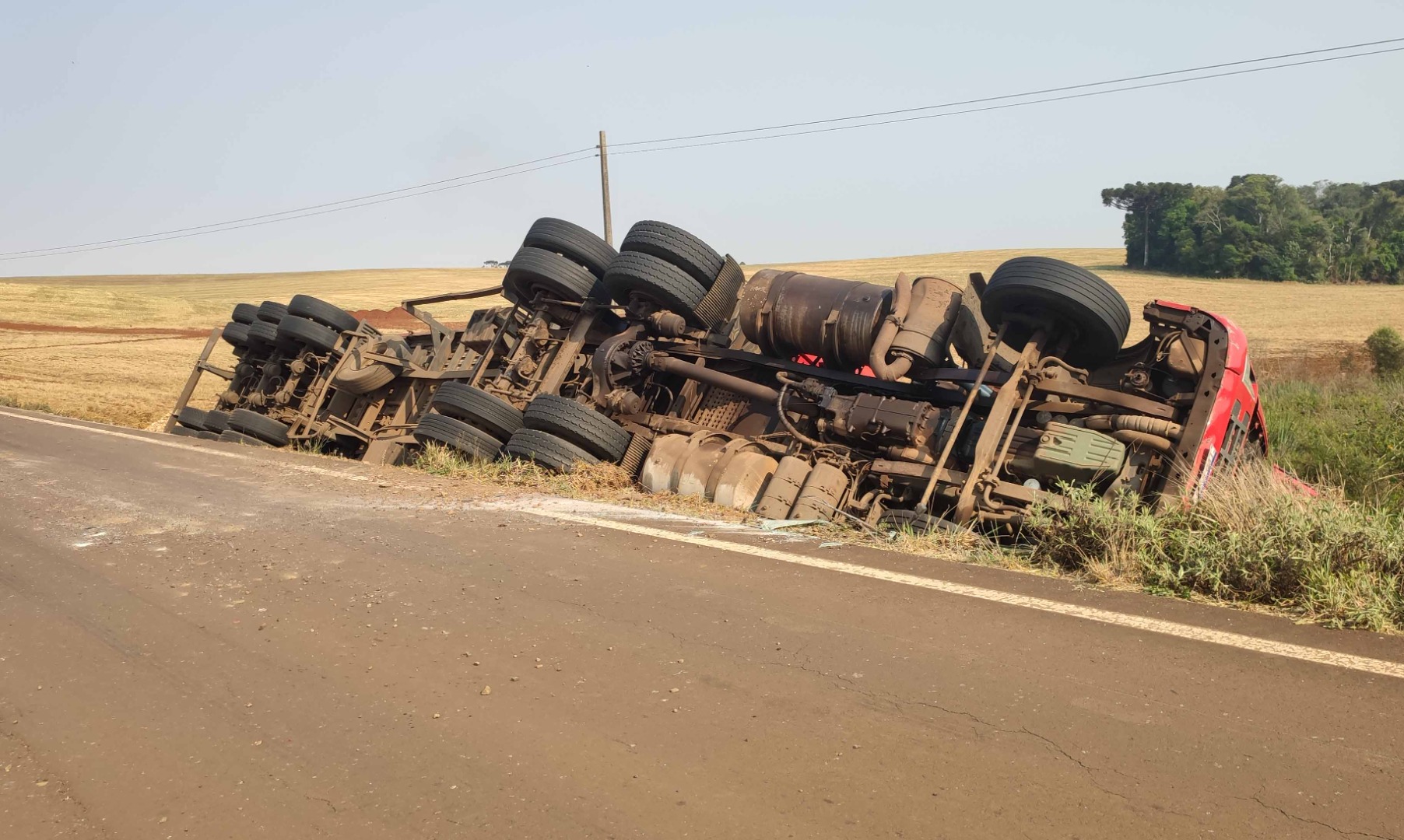 Foto: Jandir Sabedot/campoere_1.com