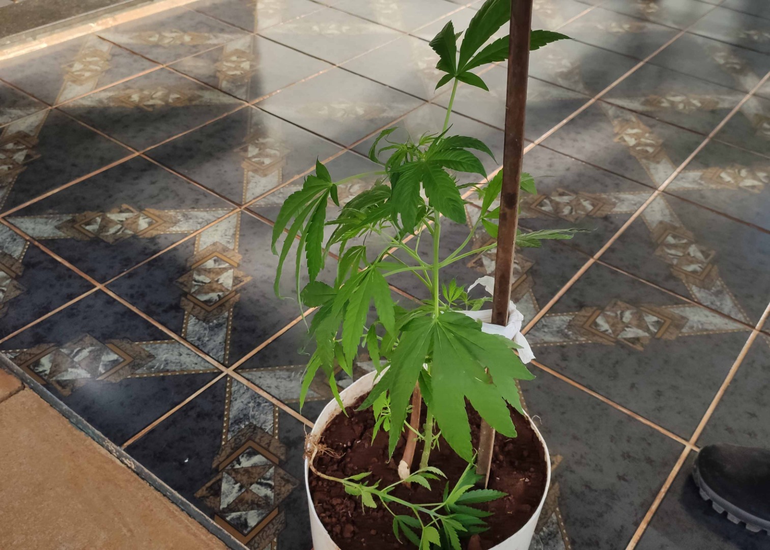 Foto: campoere_1.com