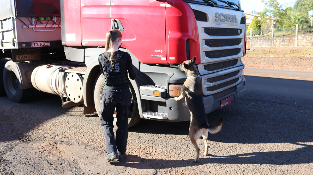 Foto: campoere_1.com/Jandir Sabedot