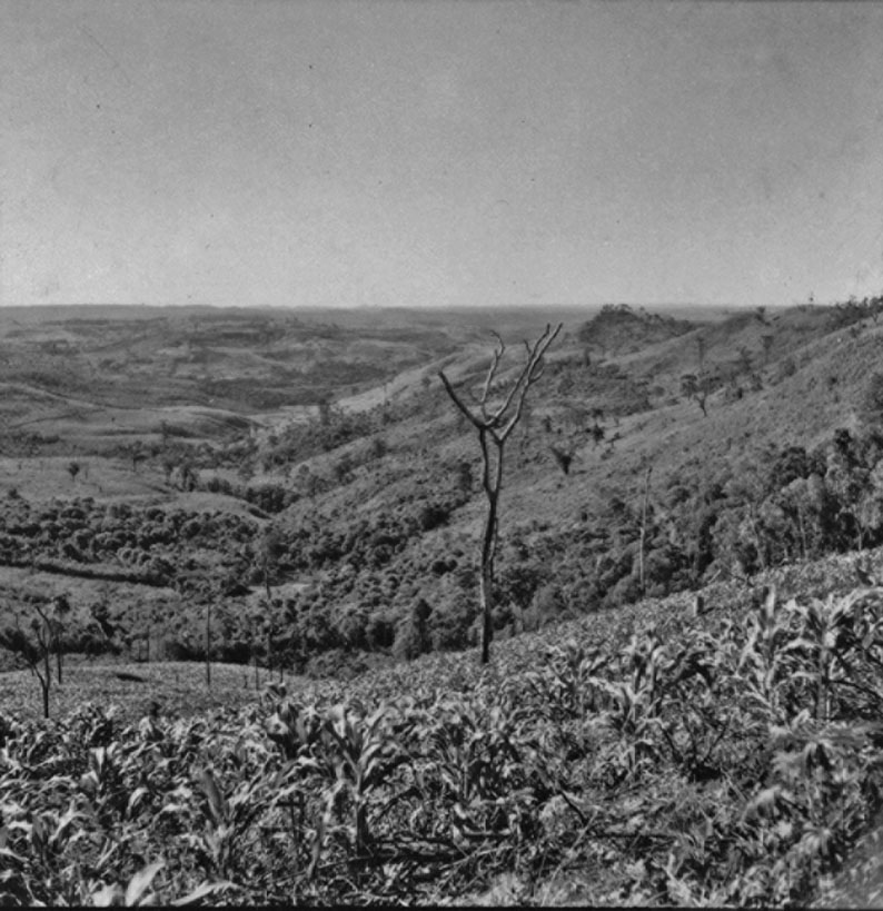 Foto: 1965 Resgate da história campoere_1.com