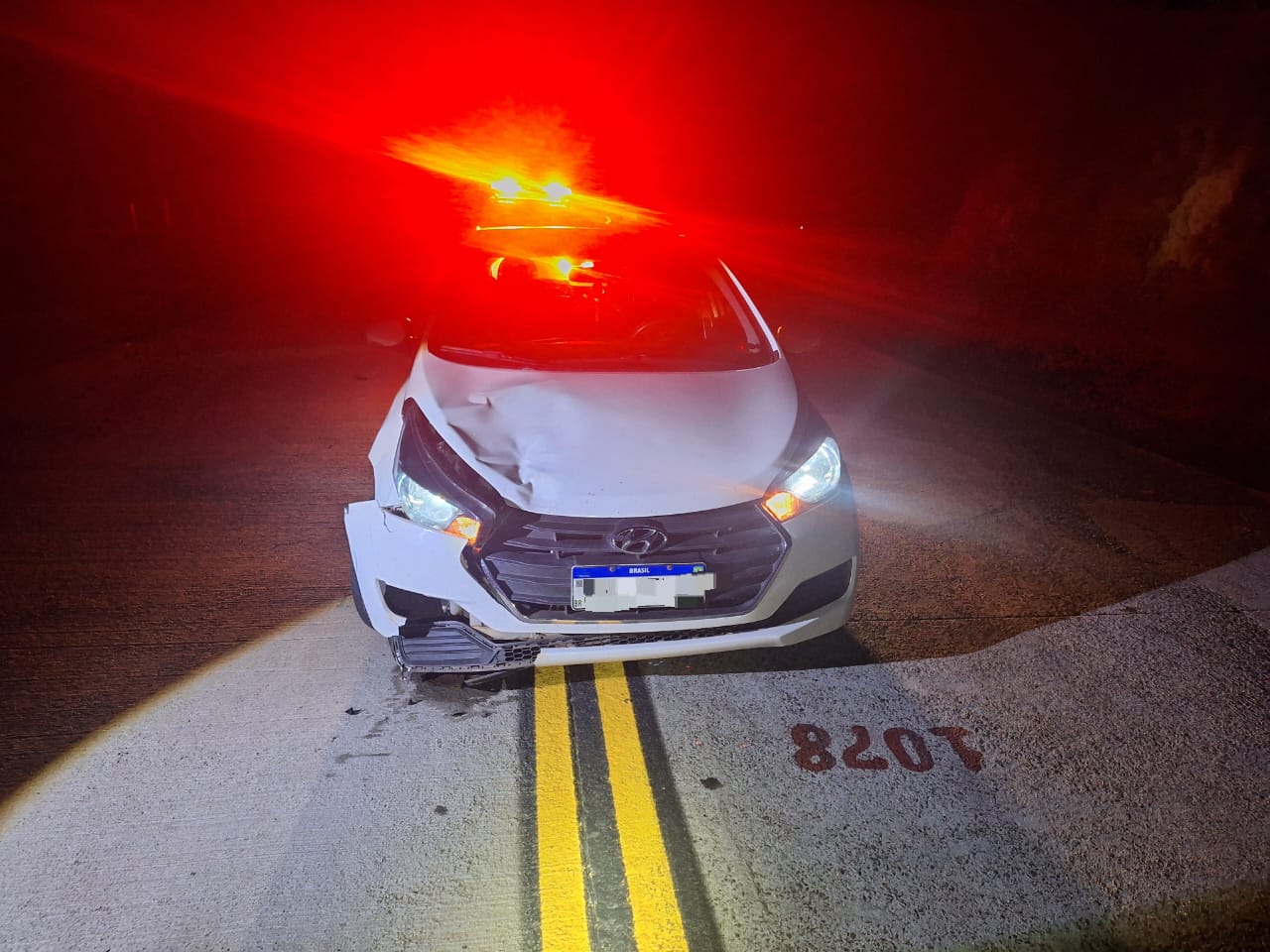 Boi atravessa rodovia e causa prejuízo em veículo em Campo Erê