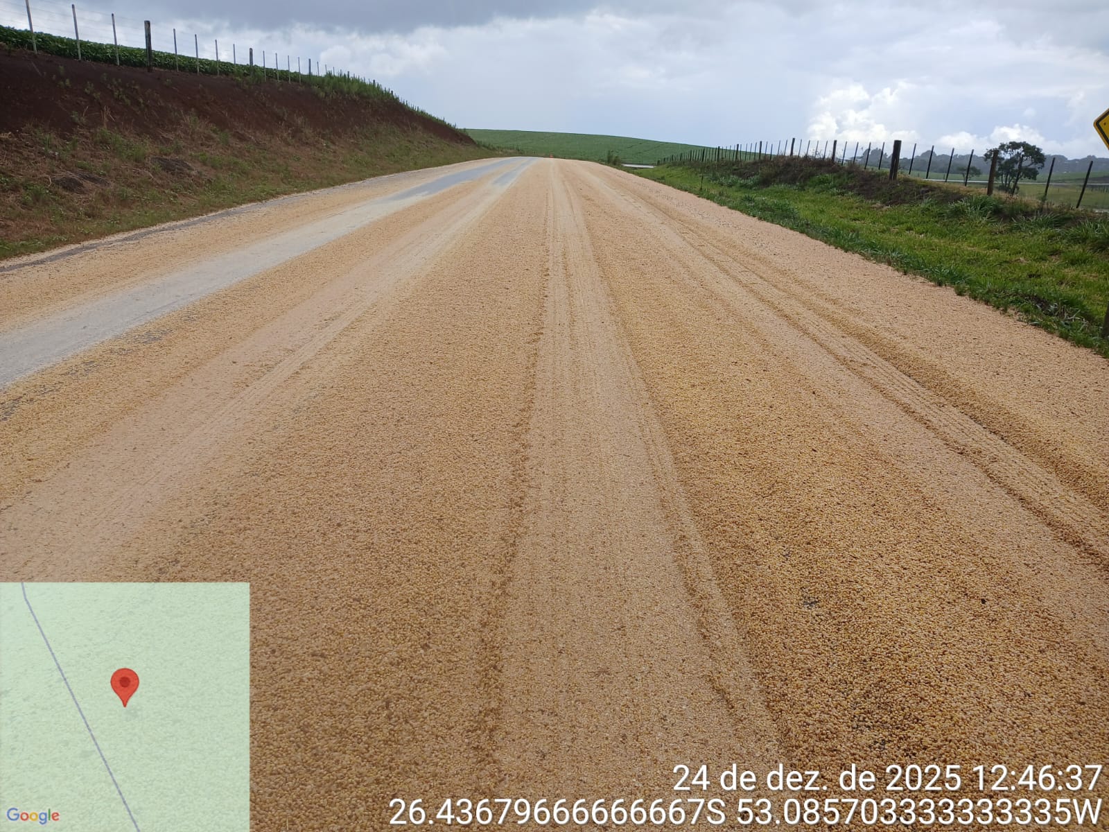 Tampa de caminhão se desprende e derrama grande quantidade de soja na SC-160, em Campo Erê