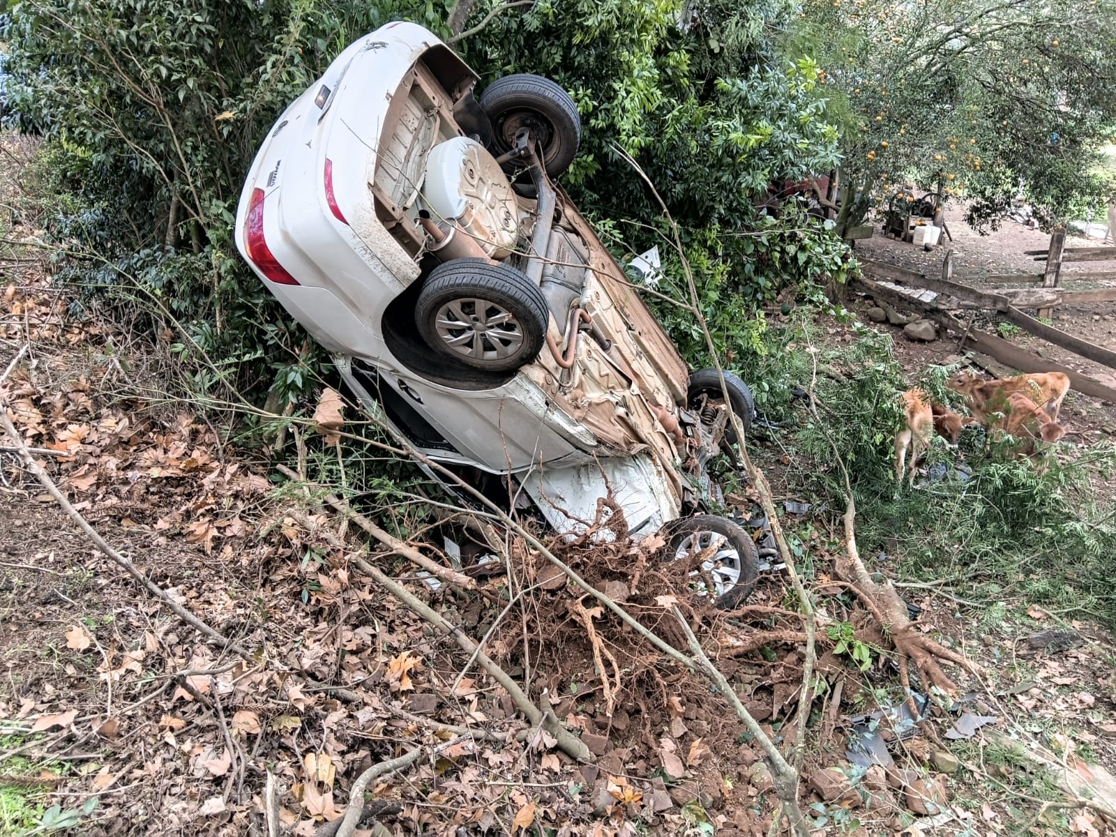 Mulher fica ferida após saída de pista seguida de capotamento na SC-305, em Anchieta