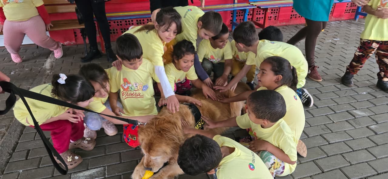 Cão da Polícia Militar encanta estudantes durante visita às escolas de Campo Erê
