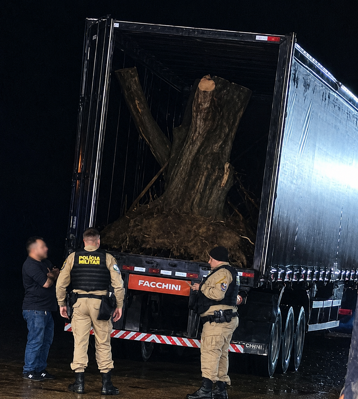 PF e PM apreendem caminhão com seis pés de oliveira contrabandeados em Pranchita