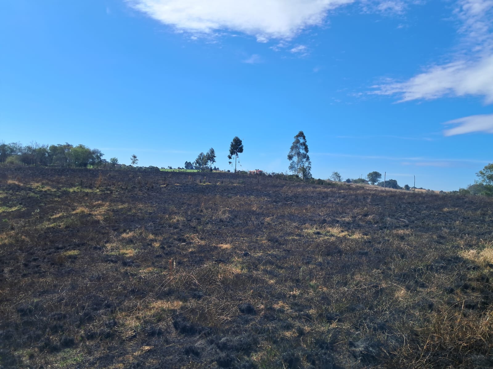 Após forte geada, incêndios em vegetação voltam a ser registrados na região