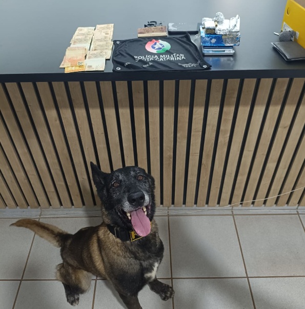 Vendedor de maconha foge de abordagem, mas é preso horas depois por tráfico de drogas
