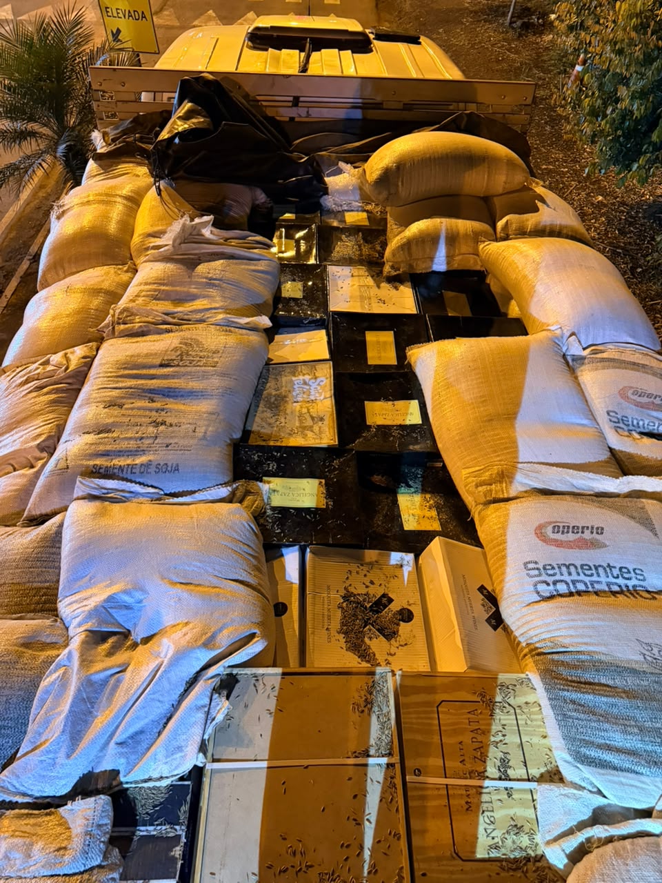 Grande quantidade de vinho e azeite é apreendido em Abelardo Luz