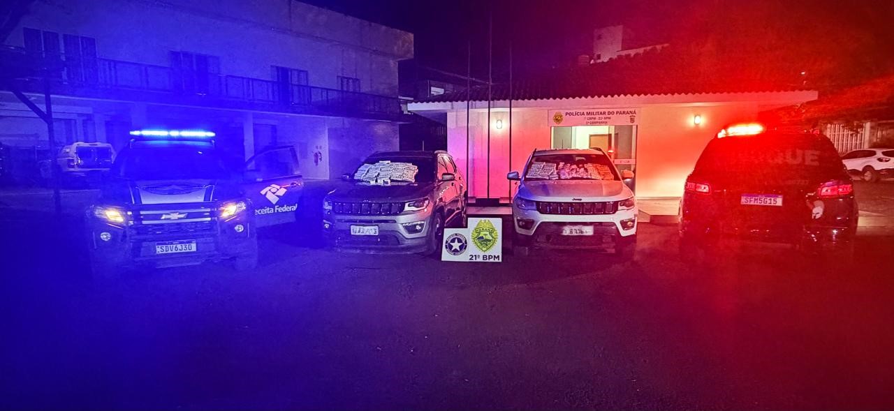 Polícia apreende 746 caixas de medicamentos contrabandeados em Marmeleiro