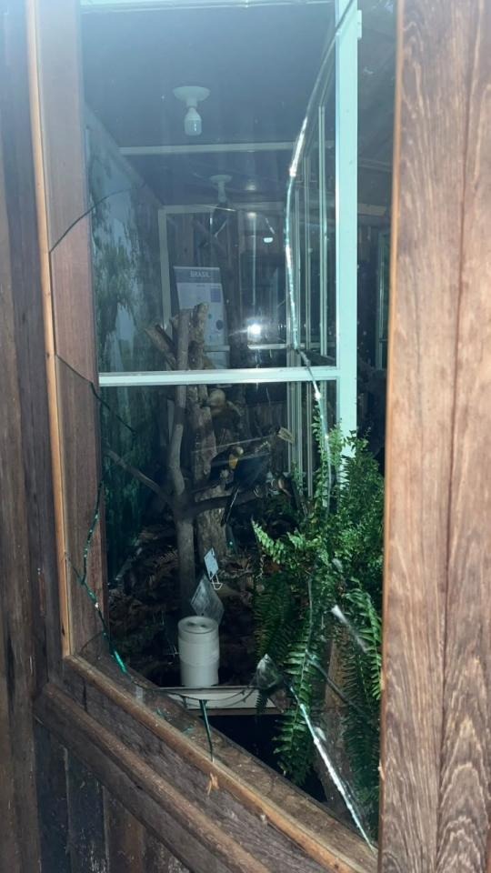 Mulher danifica patrimônio público no bosque municipal de Palma Sola