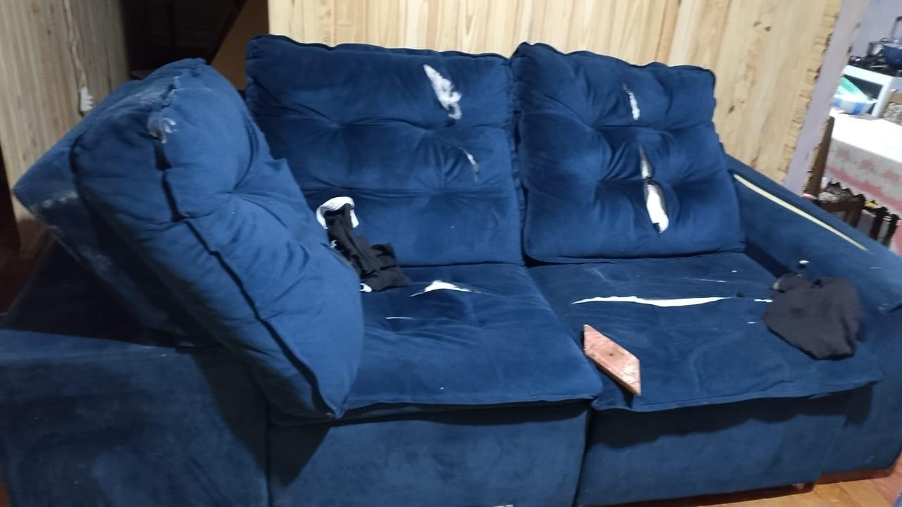 Polícia Militar registra ocorrência de violência doméstica após danos a residência em São Bernardino