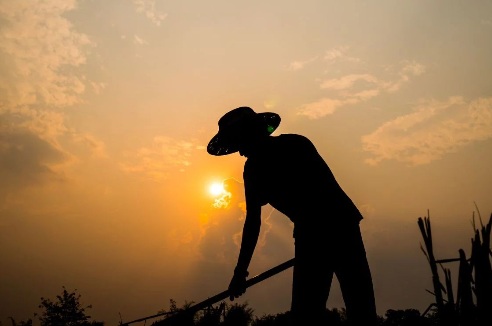 Agro bate recorde histórico de empregos no 2º trimestre de 2026