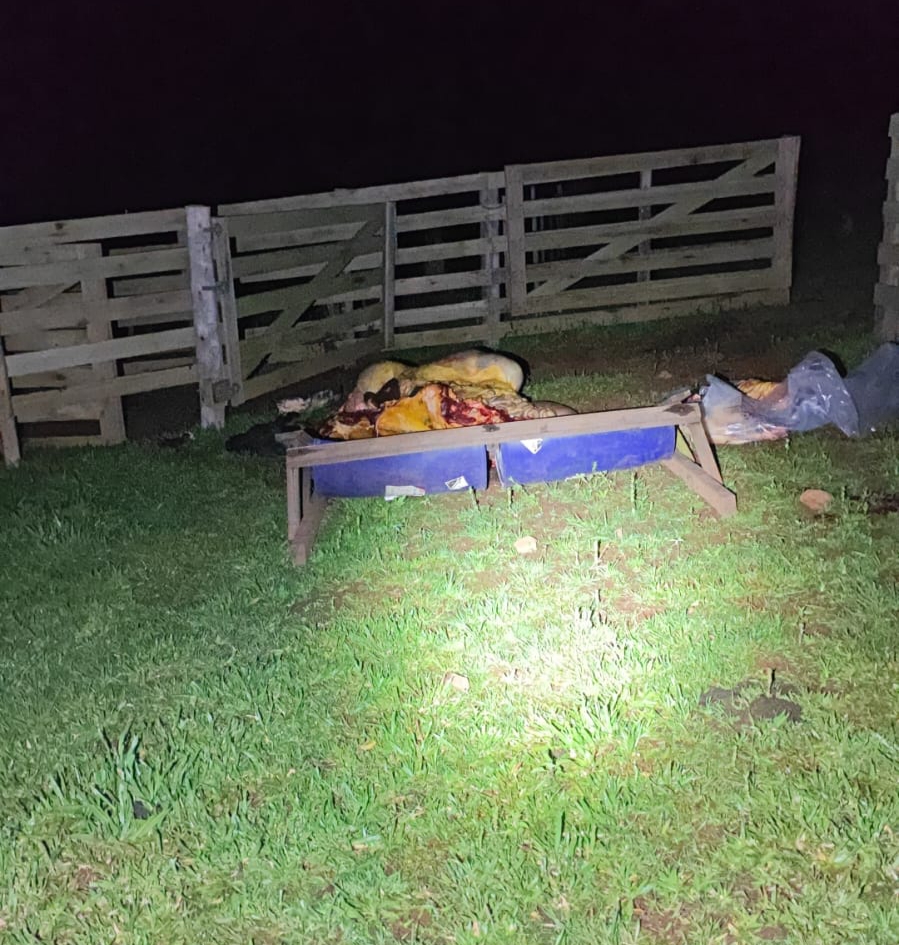 Após abater animal, suspeitos fogem sem levar a carne em Bandeirantes