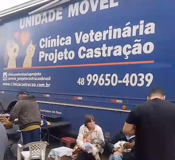 Programa Pet Levado a Sério: 20% dos inscritos não compareceram para os procedimentos de castração em Campo Erê